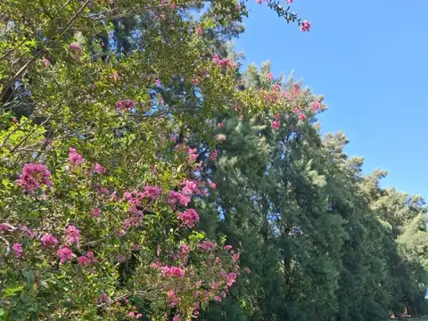 Terreno en Venta en Funes, USD 399.000