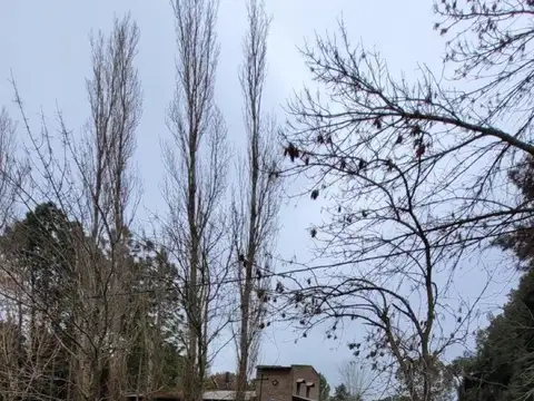 Araoz y Mar del Plata