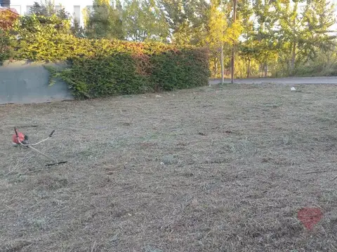 Terreno en Venta en Centenario, USD 35.000