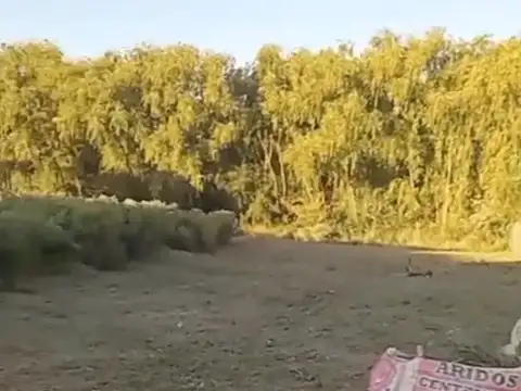TERRENO EN VENTA EN COSTA DE RIO CENTENARIO