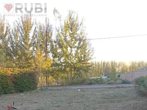 Terreno en Venta 12  mts Frente