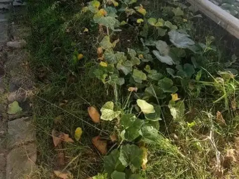 Lote en Monte Grande