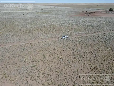 27950 Has.Ganaderas armadas para  Cría/Recría 3000 madres.