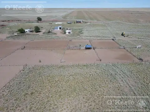 27950 Has.Ganaderas armadas para  Cría/Recría 3000 madres.