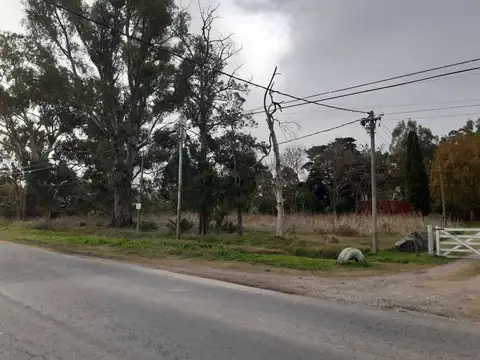 Terreno en venta en Los Talas