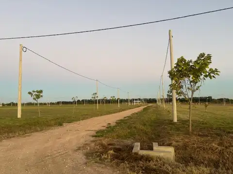 Lucio Mansilla 7500