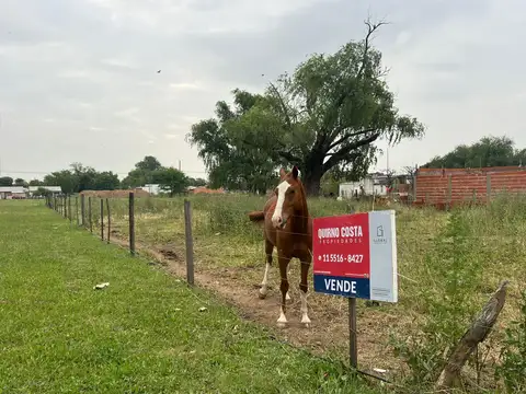 Terreno en  venta en San Antonio de Areco