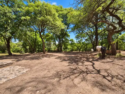 Venta casona lte 6500m2 villa ani mi la granja e53