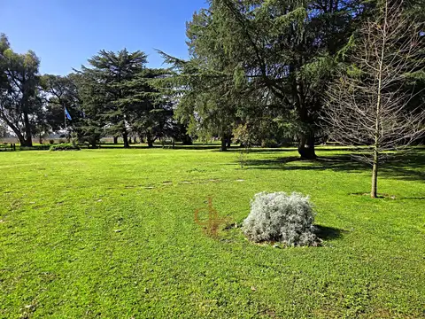 Lote a pista con posibilidad de hangár - Henri Aero