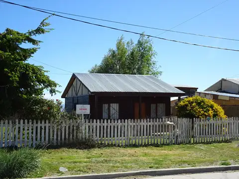 Lago Argentino 300