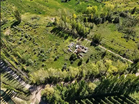 Maria Celina Cichero y Calle 10, Centenario 100