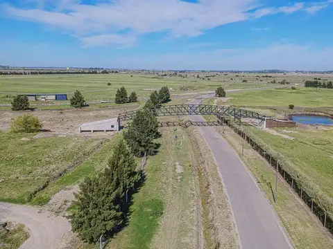 Lote 29, Manzana M - Los Pasos del Jockey 3