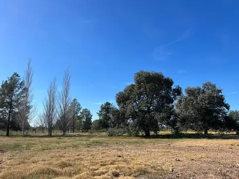 VENTA LOTE 1155 M2 ETAPA 4 MIRABOSQUES CARDALES 