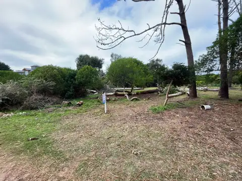 mar azul entre 40 y 41