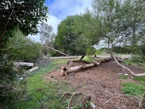 Terreno en Venta, FOT 0.6