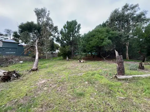 Terreno en Venta 20  mts Fondo