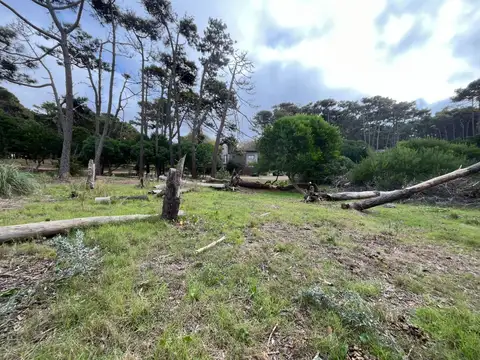 Terreno en Venta de 675,5 m2