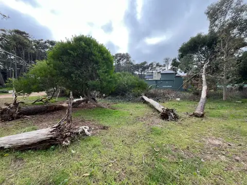 Terreno en Venta 20  mts Frente