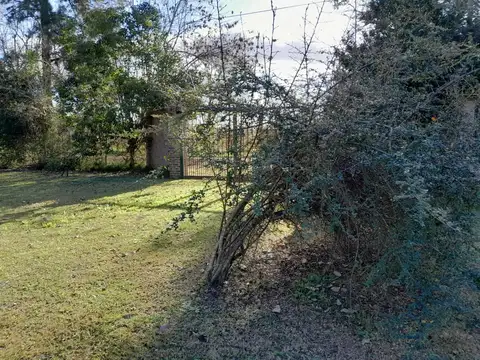 Barrio Copenhague 100