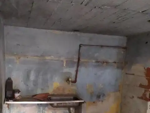 Doctor miguel rosella 10000