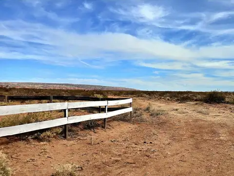 Terreno en Venta de 50000,0 m2