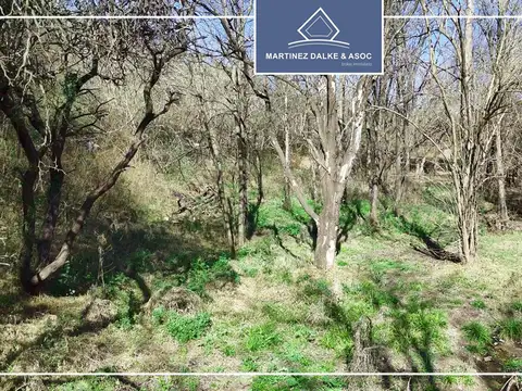 Terreno en Venta, FOS 40
