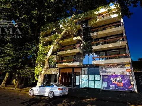 Rodriguez  al 140 bis