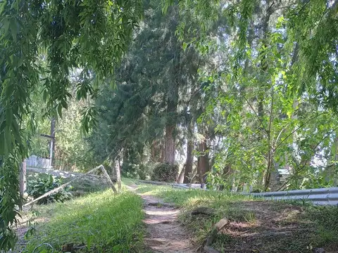 Canal Arias y Río Luján