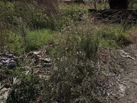 CAMPO EN ZARATE   44 HS