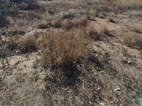 VENTA TERRENO –COOP. SIERRA PINTADA -SAN RAFAEL