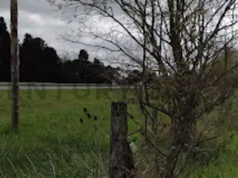 Terreno en Venta en Campos Cañuelas, USD 32.000