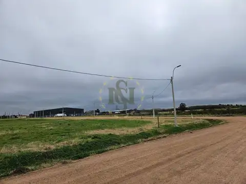 Terreno en Venta de 16310,0 m2