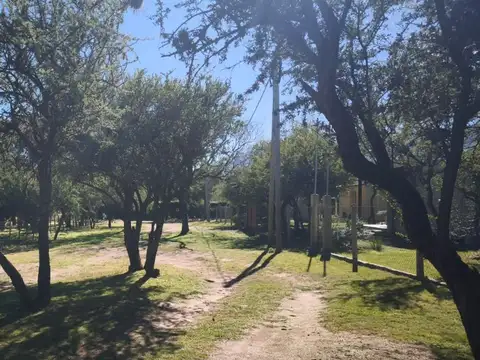 Camino Del Indio