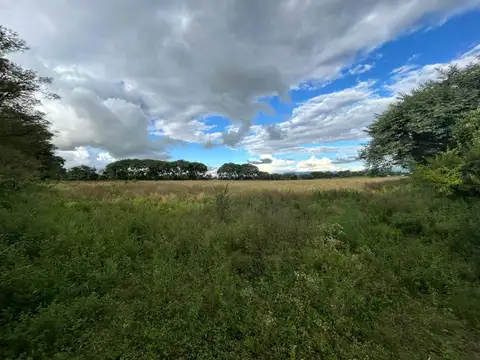 Terreno en Venta de 260,0 m2