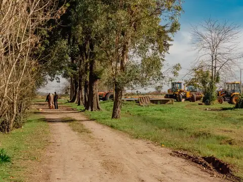 Terreno en Venta de 250,0 m2