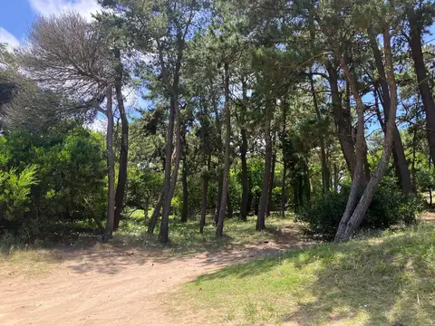 Terreno en Venta en Mar Azul, Partido de Villa Gesell