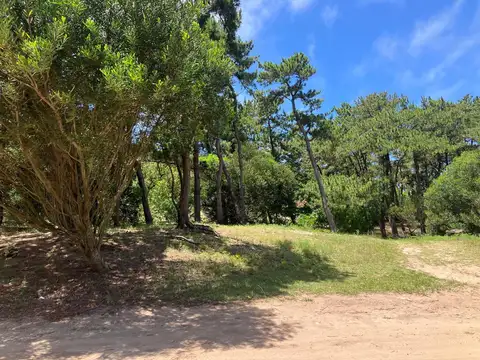 Terreno en Venta 35  mts Fondo