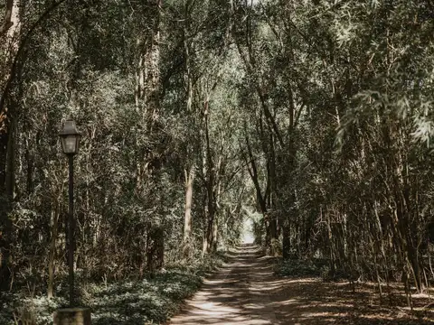 Terreno en Venta de 1511,0 m2