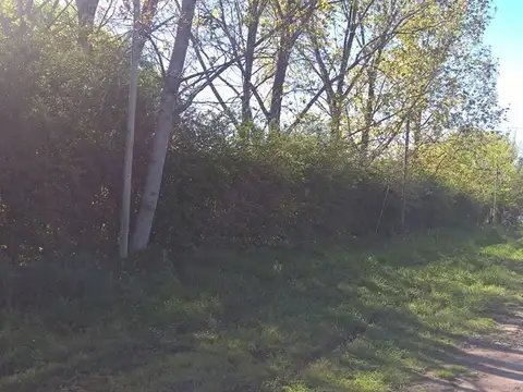 Terreno en Venta en Francisco Alvarez, USD 40.000