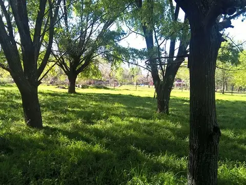 Terreno en Venta en Francisco Alvarez, USD 40.000