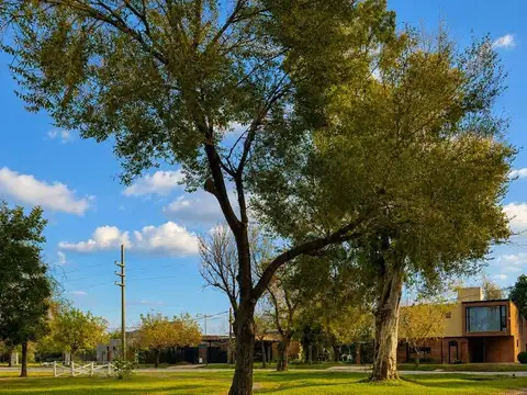 Terreno en Venta en Las Tardes, USD 43.000