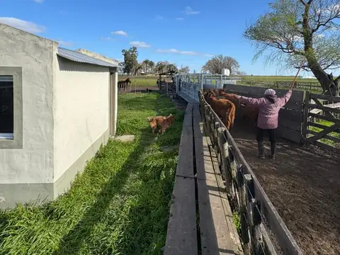Campo en Venta con Alambrado