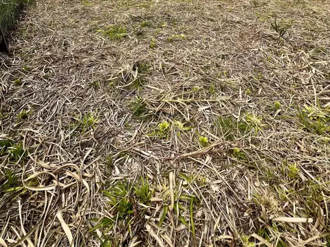 Terreno en Venta 12  mts Frente