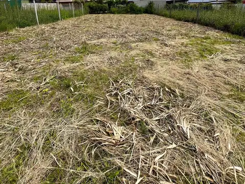 Terreno en Venta 29  mts Fondo