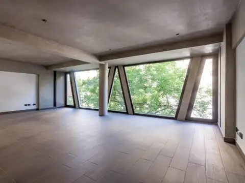 Espectacular Loft apaisado con vista a copa de arboles!