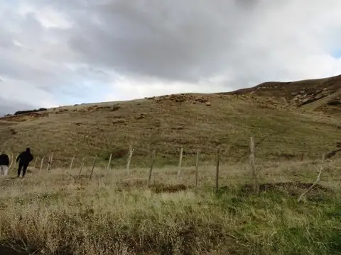 Campo en venta en Junin De Los Andes