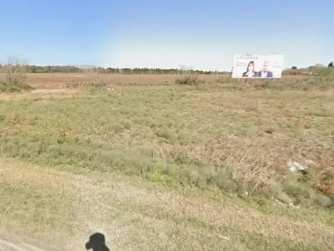 Campo en venta - Alvear - sobre autopista -