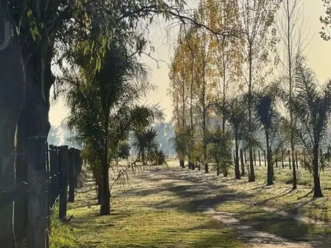 Venta Terreno en Santa María de Lobos Club de Polo