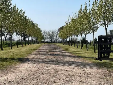 Santa María de Lobos Club de Polo - Lobos - Prov de Buenos Aires