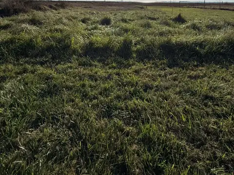 TERRENO EN SAN EDUARDO 15*60